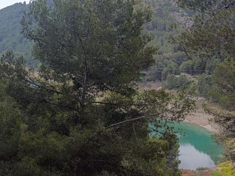 Fonts d'Algar waterfall surrounded by vegetation with turquoise water